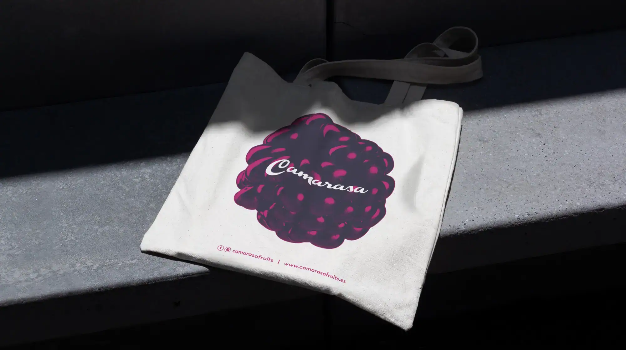 Logotipo renovado de Camarasa, obra de Mariona Agency