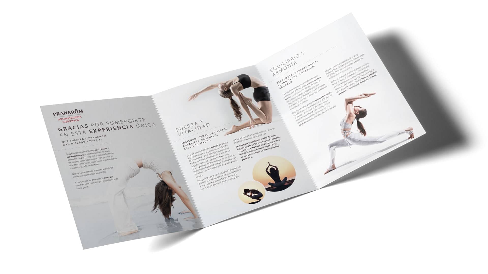 Trabajo de Mariona Agency para Pranarôm