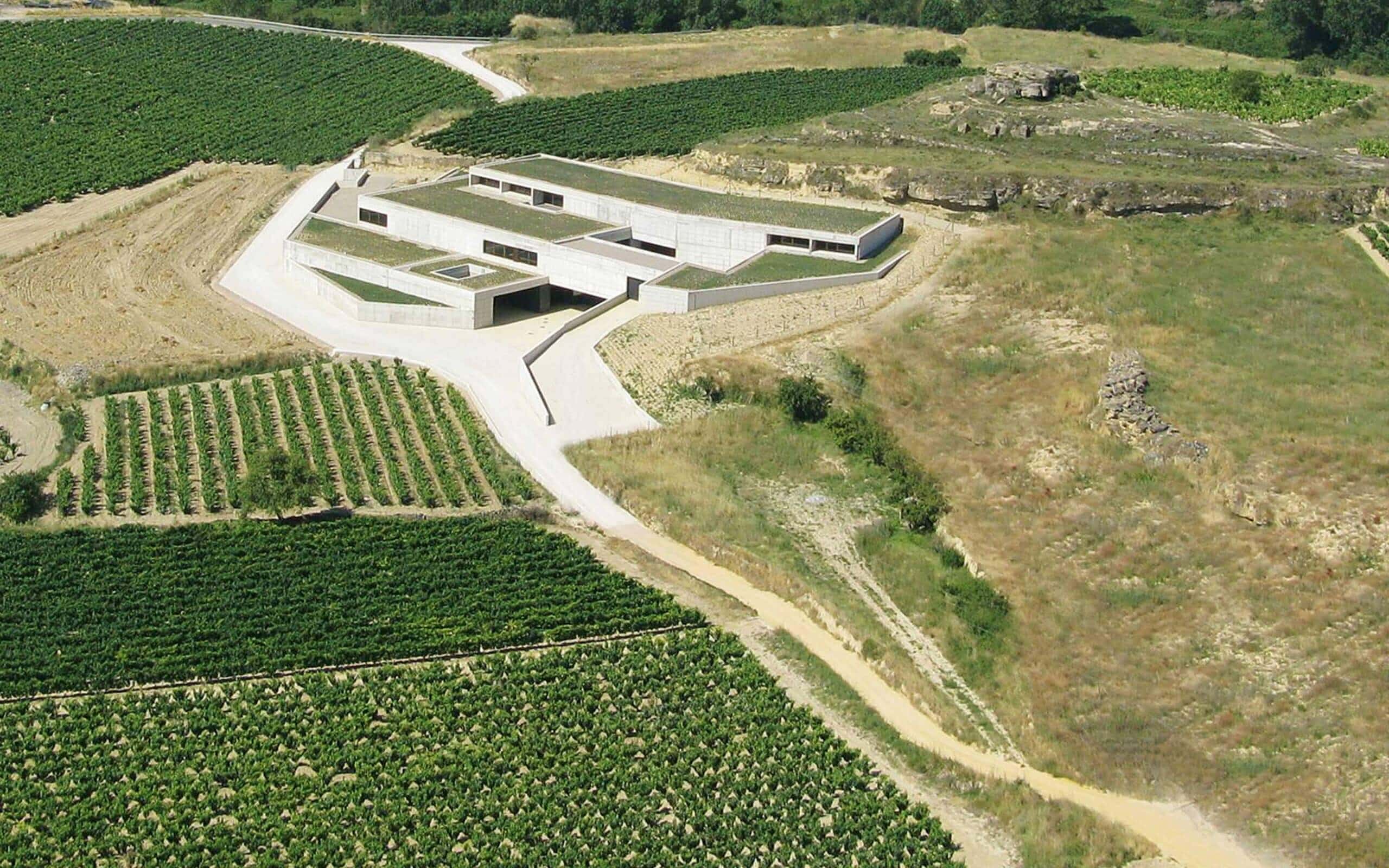 Etiquetaje de Bodega Contador desarrollado por Mariona Agency