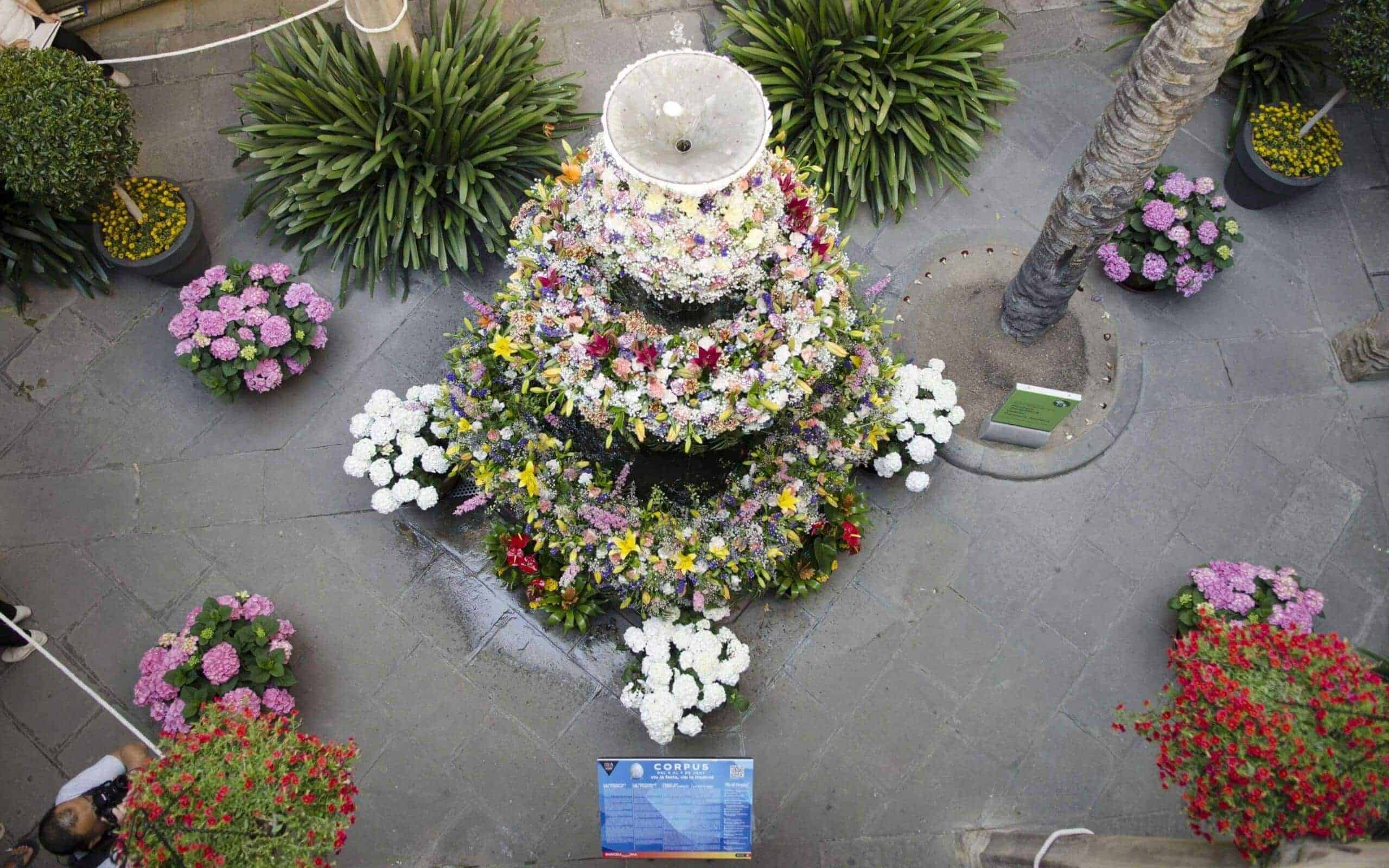 Programa de actividades de Corpus diseñado por Mariona Agency